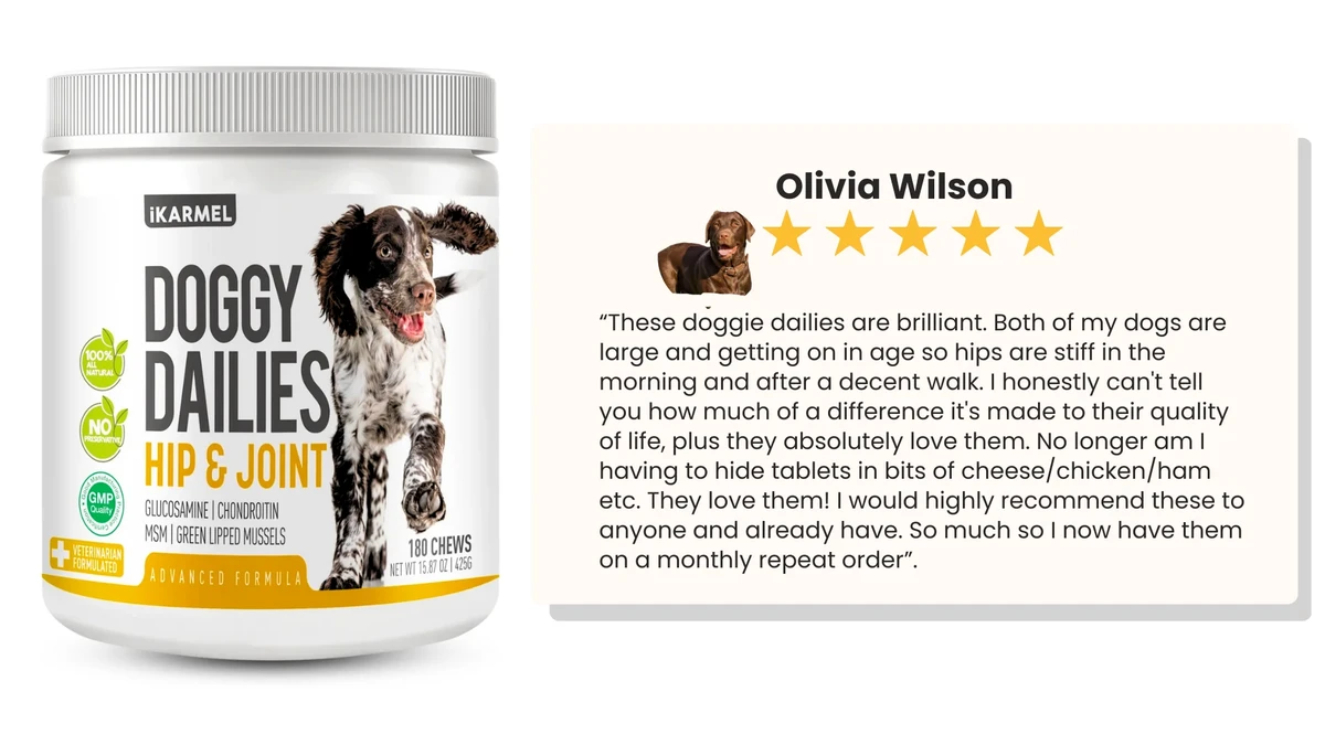 How to Choose Quality Dietary Supplements for Dogs Safely