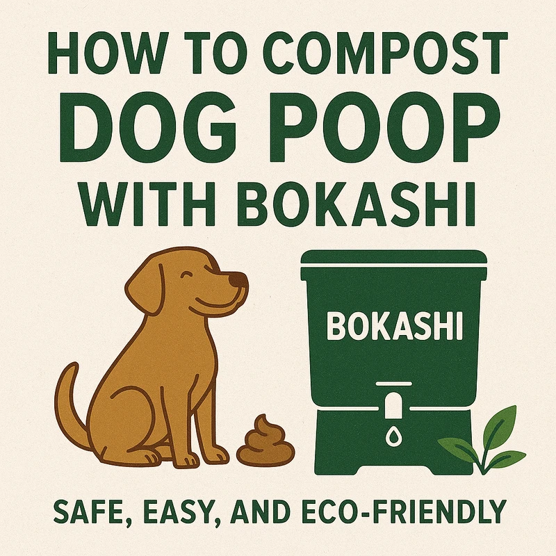 How to Compost Dog Waste Safely at Home: Expert Methods