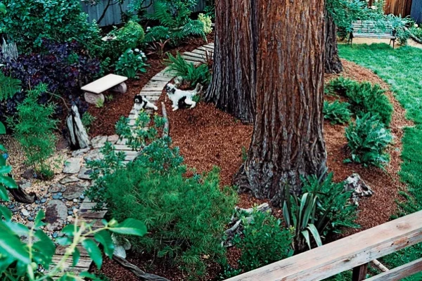 How to Create Sustainable Outdoor Spaces for Pets Safely