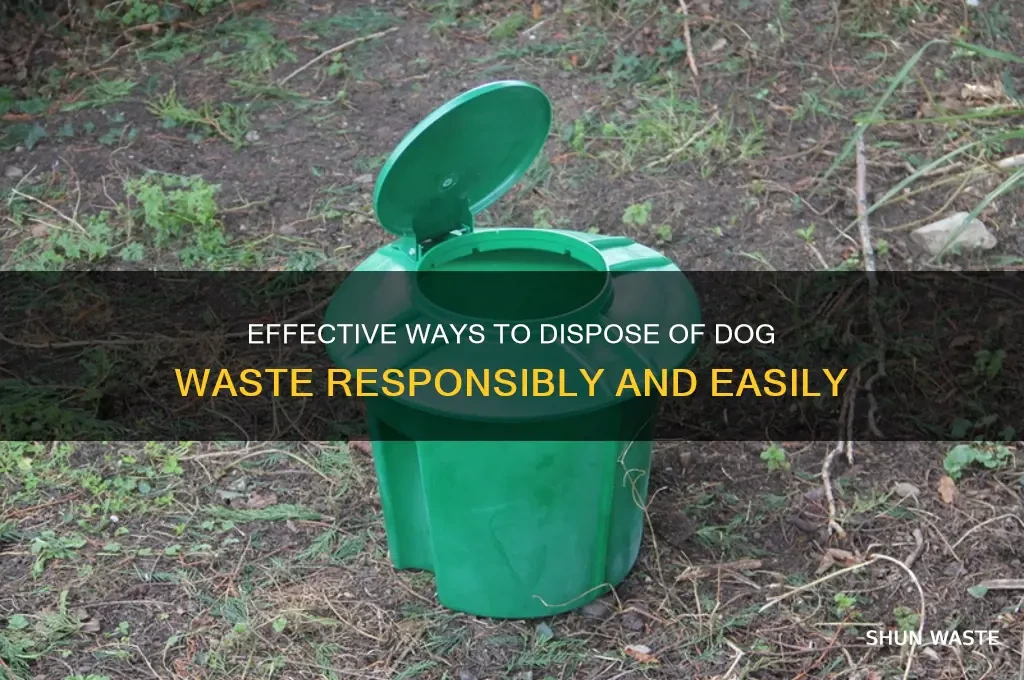 How to Dispose of Pet Waste Responsibly for Health & Environment