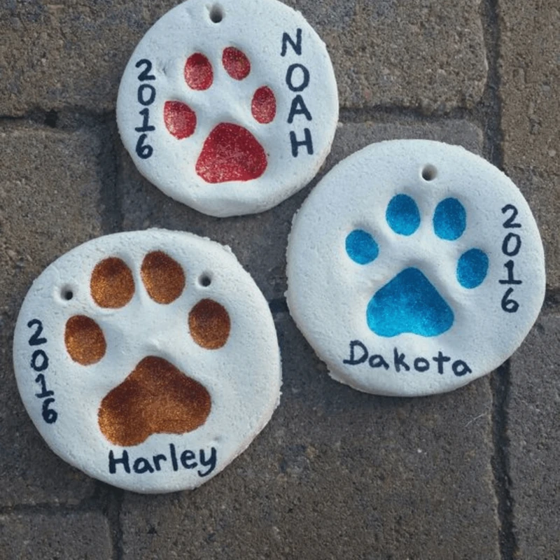 How to Gather Inspiration for Eco-Friendly Pet Projects Easily