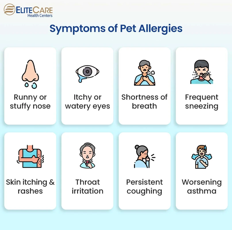 How to Identify Signs of Pet Allergies in Pets & Humans