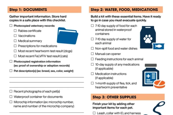 How to Lead Pet Clean-Up Events: Step-by-Step Guide