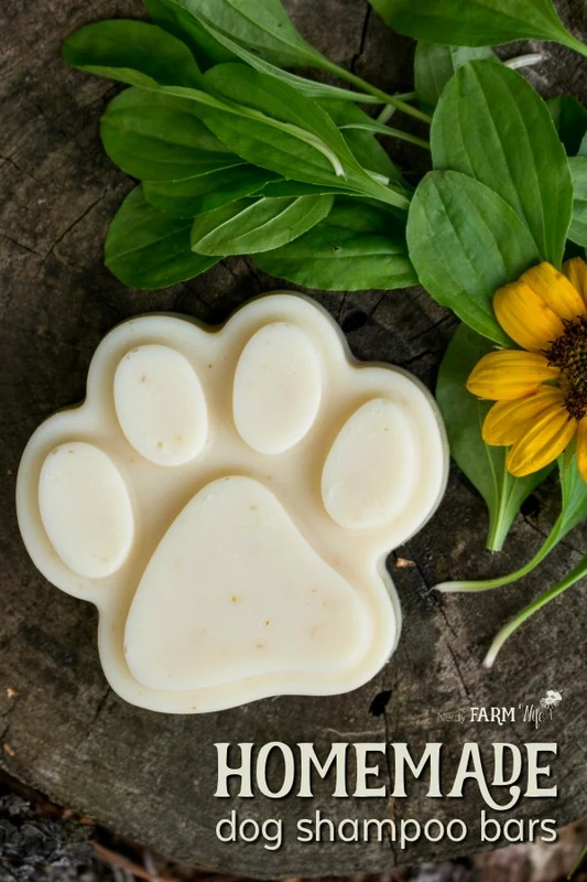 How to Make DIY Eco-Friendly Pet Shampoo Safely & Effectively
