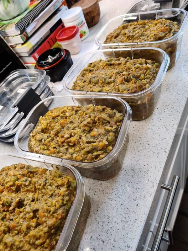How to Make Homemade Plant-Based Dog Food Safely & Nutritiously
