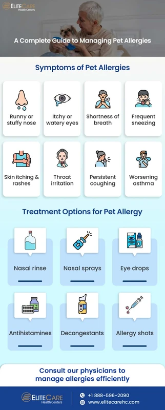 How to Monitor Pet Allergies Over Time for Lasting Relief