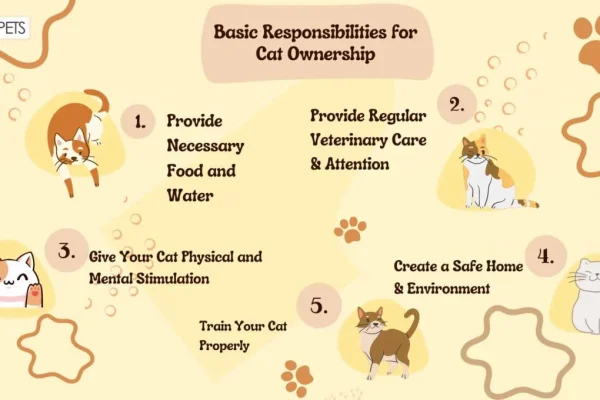 How to Prepare for Pet Ownership Responsibilities: Expert Guide