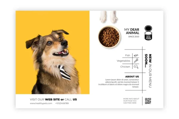 How to Read Pet Supplement Labels for Safe, Effective Choices