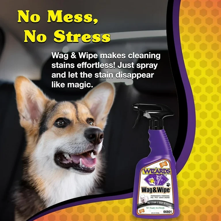 How to Remove Tough Pet Stains Eco-Friendly with Natural Cleaners