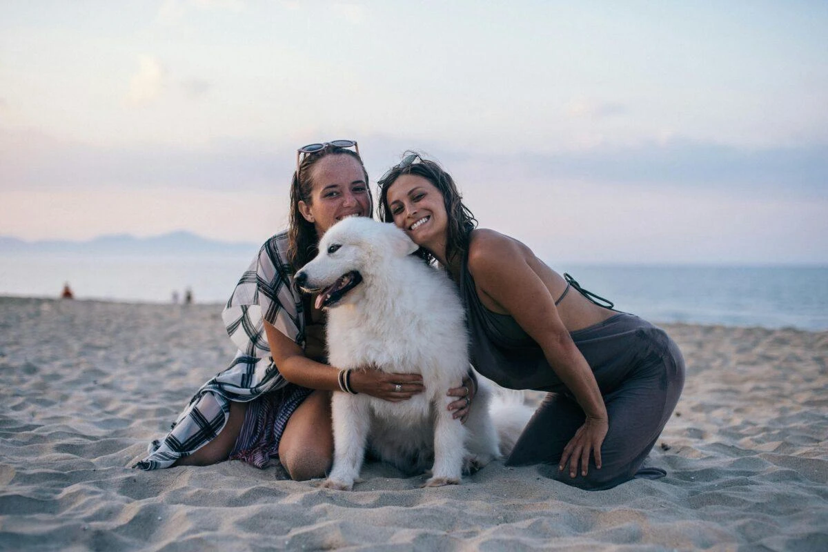 Key Difference Between Pet-Friendly and Eco-Friendly Travel Explained