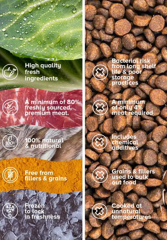 Limited Ingredient vs Hypoallergenic Dog Food: Key Differences Explained