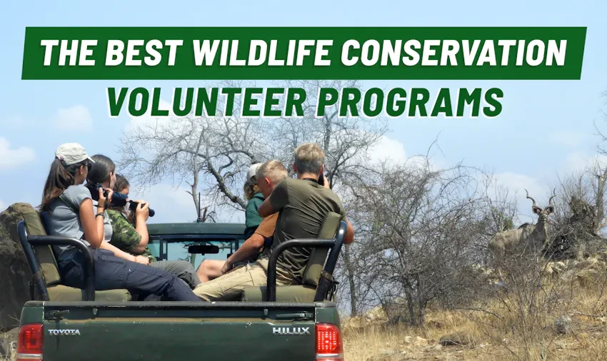 Local Pet Conservation Initiatives Drive Species Recovery in 2026