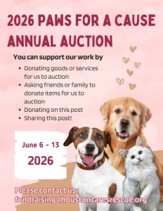 Pet Adoption Resources in 2026: Shelters, Fees & Legal Rules