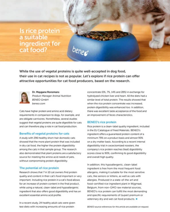 Plant-Based Diet Benefits for Cats: Health Insights & Risks
