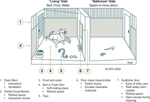 Private vs Public Pet Adoption: Key Pros and Cons Explained