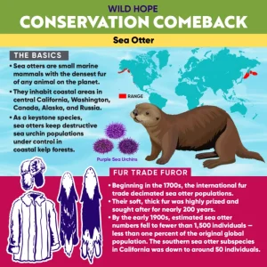 Pros and Cons of Pet Conservation Campaigns in 2026 Explained