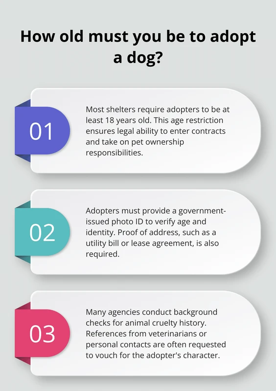 Responsibilities of Adopted Pet Owners Explained Clearly