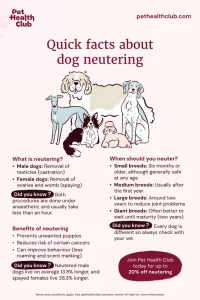 Spaying vs Neutering Costs in 2026: Cat & Dog Price Guide