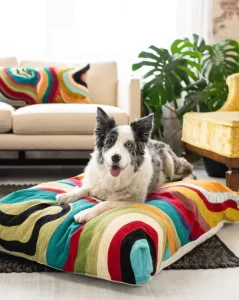 Sustainable Materials for DIY Pet Beds That Protect Pets and Planet