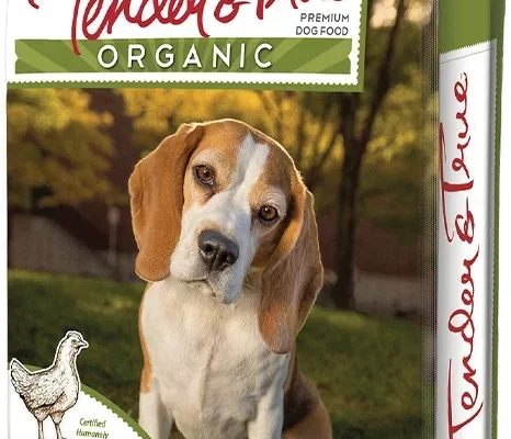 Top Certifications for Eco-Friendly Pet Food Products Explained