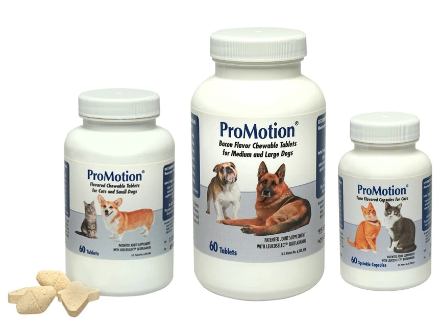 Types of Dietary Supplements for Small Animals Explained