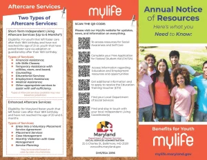 US Foster Care Funding Trends Boost Local Support Resources