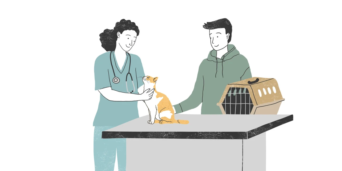 Why Consult a Vet Before Pet Supplementation Matters