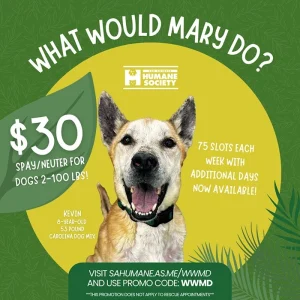 Affordable Spay & Neuter Vouchers for Adopted Pets in 2026