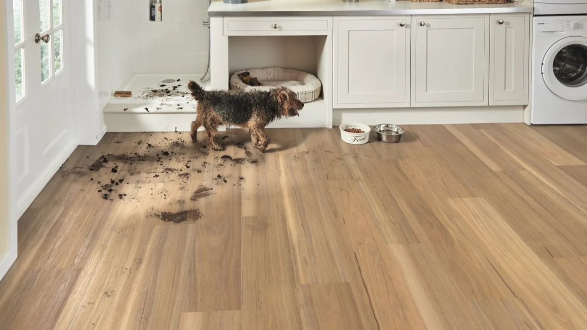 Best Non-Toxic Flooring for Pet Homes Balances Safety & Sustainability