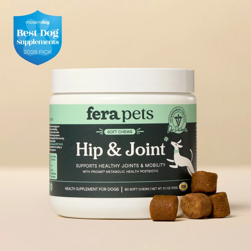 Best Supplements for Dogs with Arthritis 2026: Expert Vet Picks