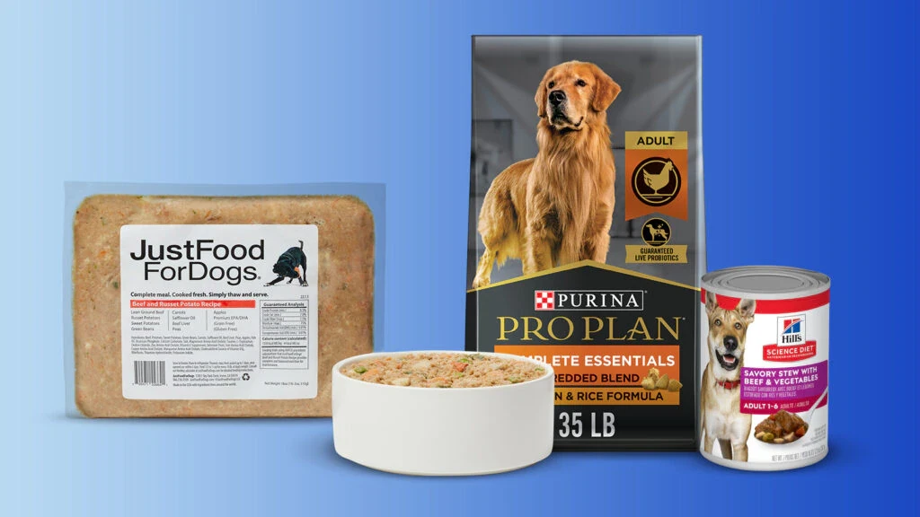 Buy Hypoallergenic Dog Food Online 2026 for Allergy Relief
