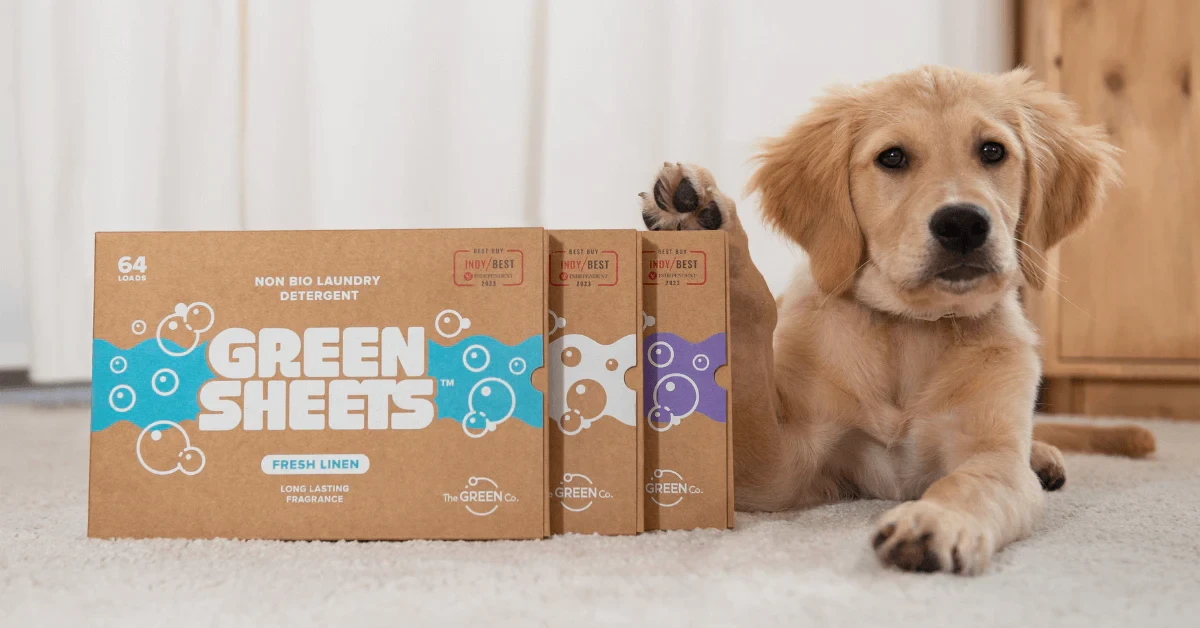 Eco-Friendly Cleaning Guide for Pet Owners: Safe & Effective Tips
