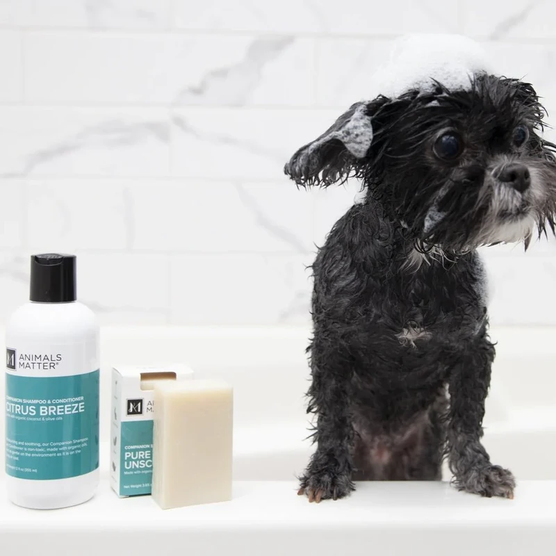 Eco-Friendly Dog Shampoo vs Regular: Key Skin & Eco Benefits