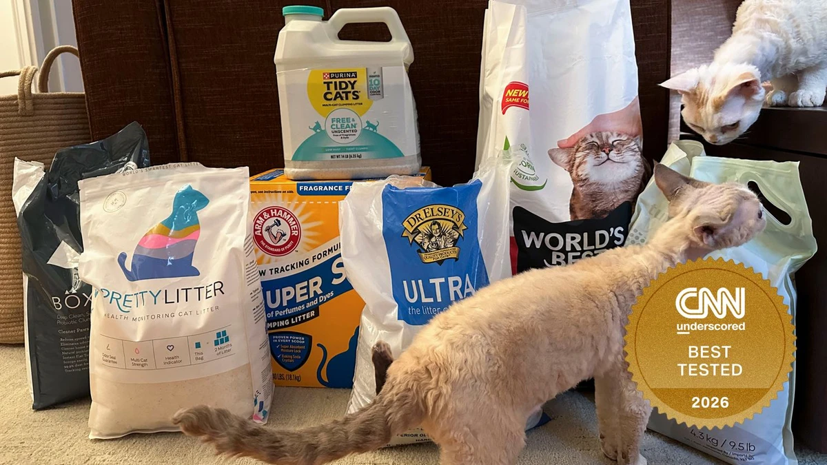 Eco-Friendly Pet Litter Disposal Pros and Cons Explained