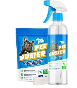 Eco-Friendly Pet Stain Removers Use Enzymes to Clean Safely