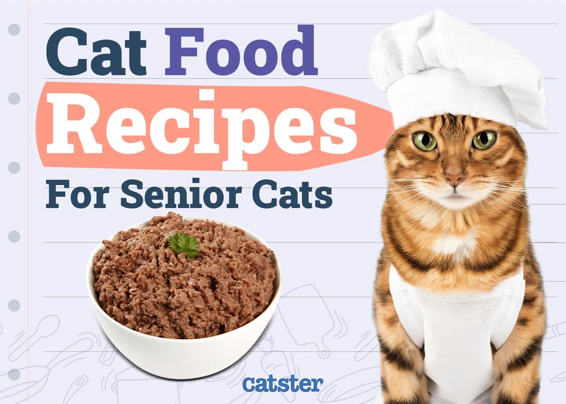 Essential Homemade Vegan Cat Food Recipes Reviewed for 2026