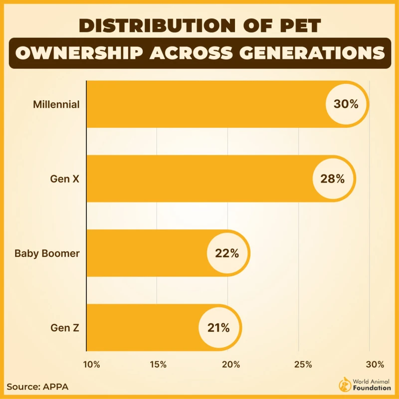 How Responsible Pet Ownership Boosts Community Health in 2026