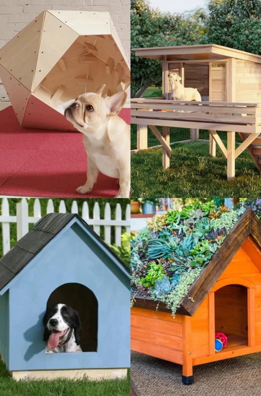 How to Create a Pet-Friendly Sustainable Home with Safe Materials