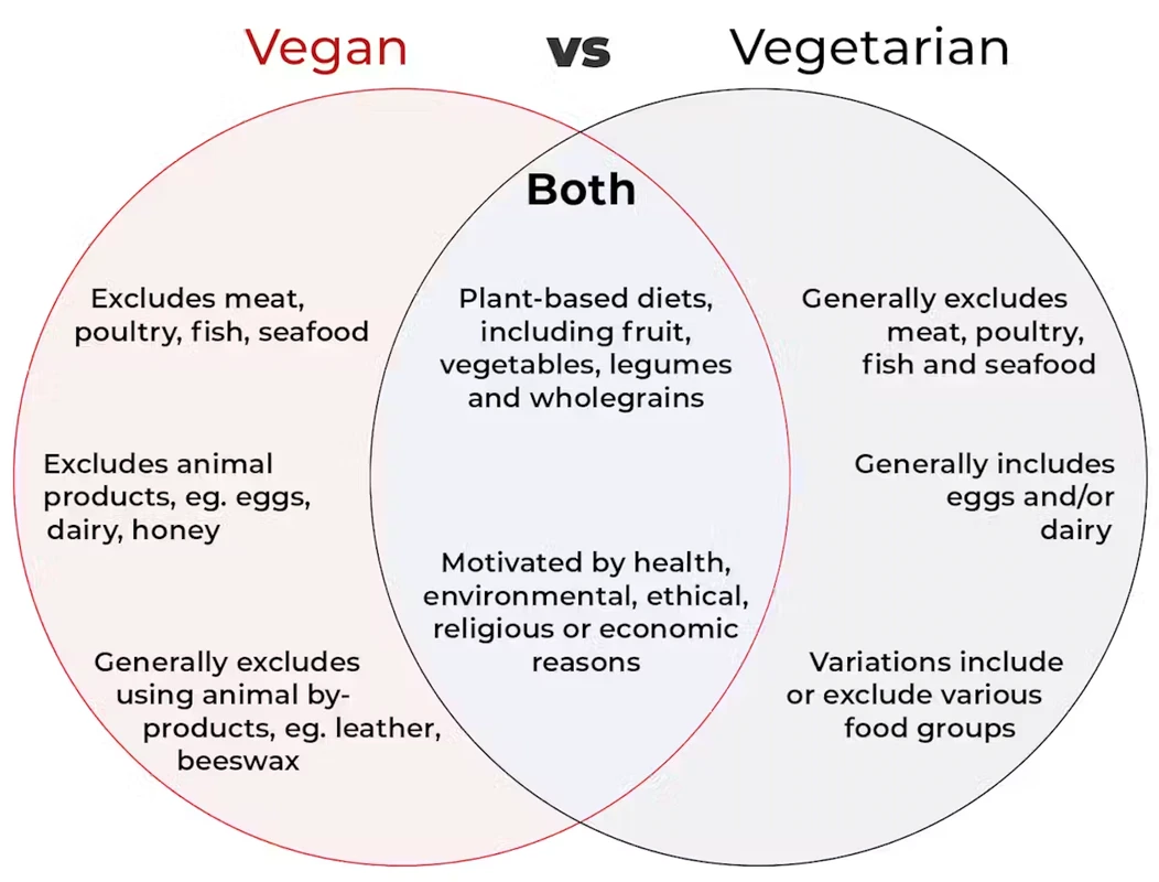 Key Differences Between Vegan and Vegetarian Pet Foods Explained