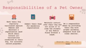 Key Financial and Legal Responsibilities of Adopted Pet Owners