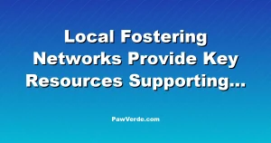 Local Fostering Networks Provide Key Resources Supporting 328K+ Youth
