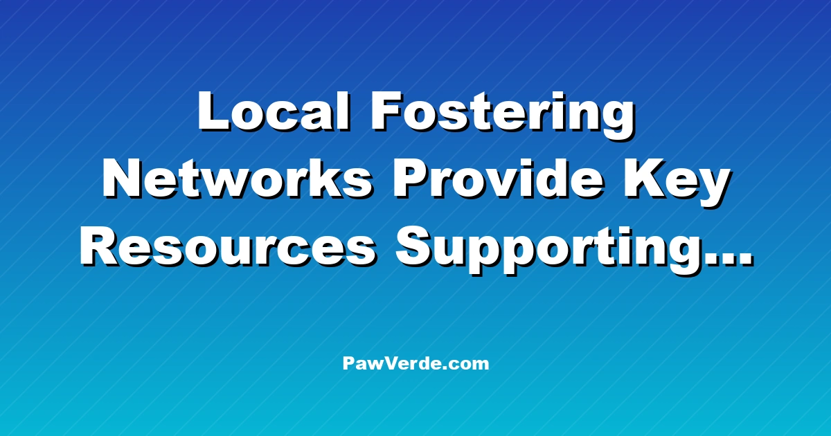 Local Fostering Networks Provide Key Resources Supporting 328K+ Youth