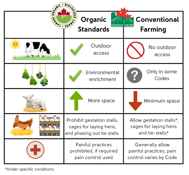 Organic Pet Food vs Conventional: Key Growth Trends & Benefits