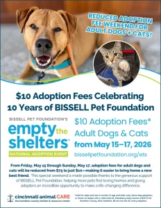 Petfinder and Top Platforms Drive $450M Pet Adoption Boom