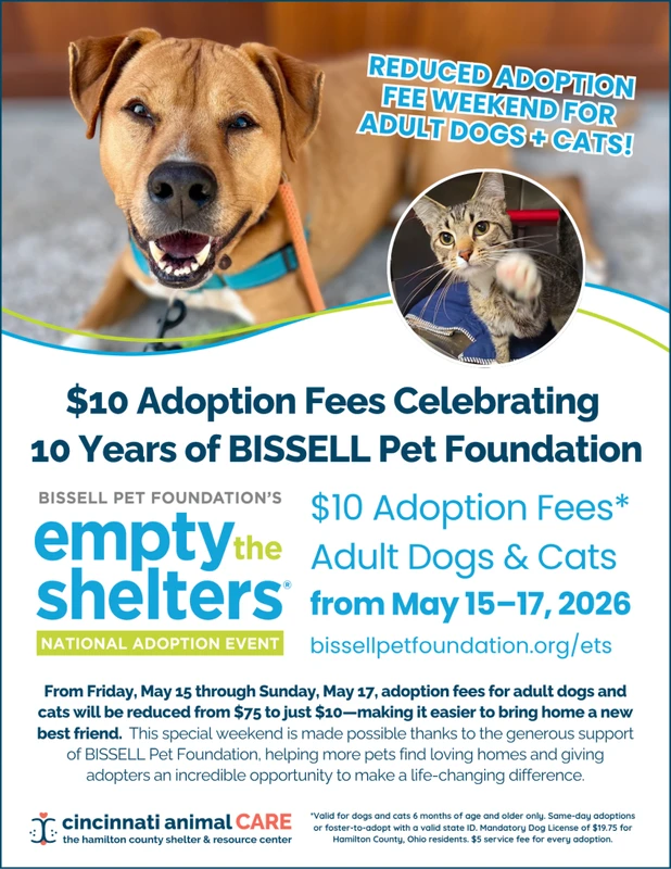 Petfinder and Top Platforms Drive $450M Pet Adoption Boom