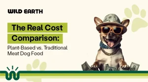 Plant-Based Dog Food: Is It Worth It for Canine Health?