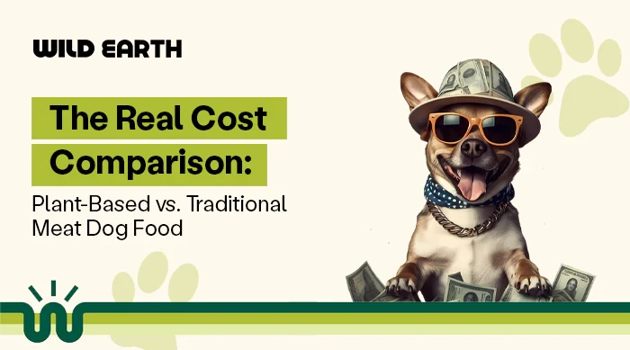 Plant-Based Dog Food: Is It Worth It for Canine Health?