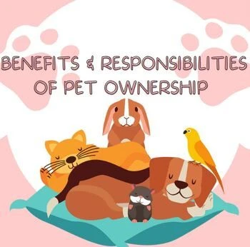 Responsible Pet Ownership 2026: Costs, Laws & Best Practices