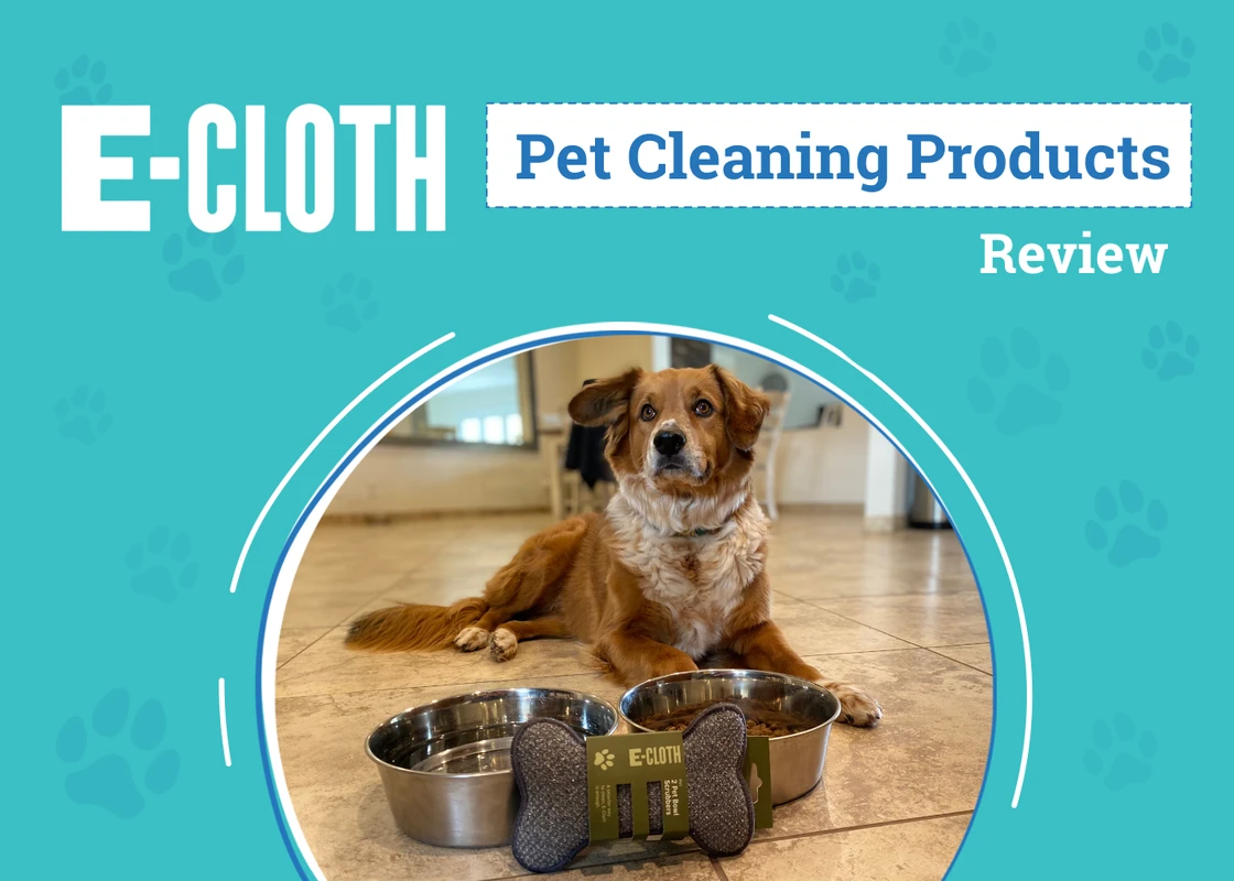 Top 2026 Reviews of Eco-Friendly Pet Cleaning Products