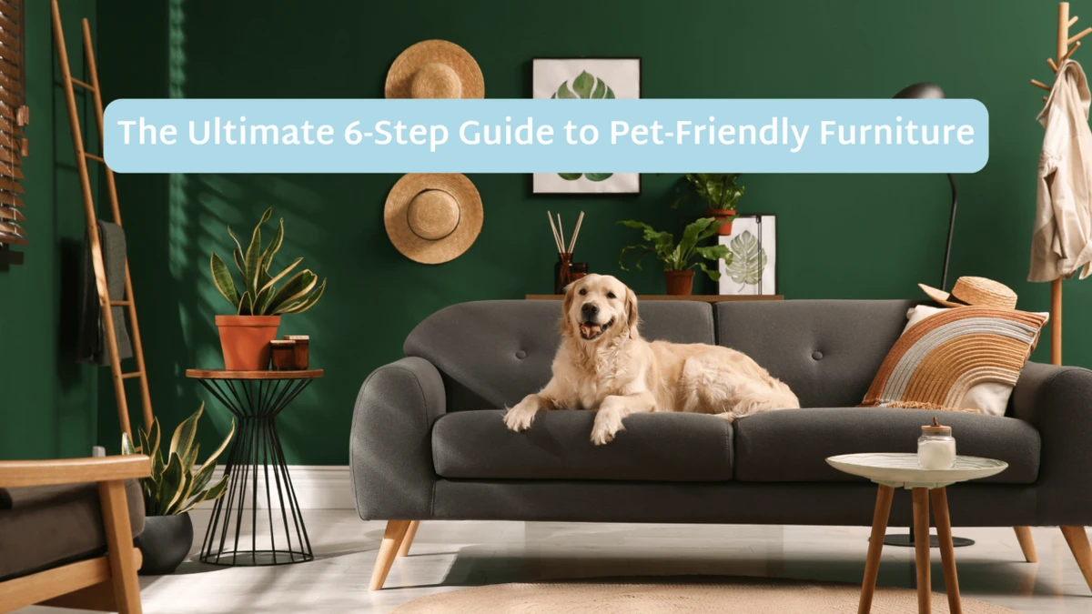 Top Brands to Buy Sustainable Pet-Friendly Furniture Online